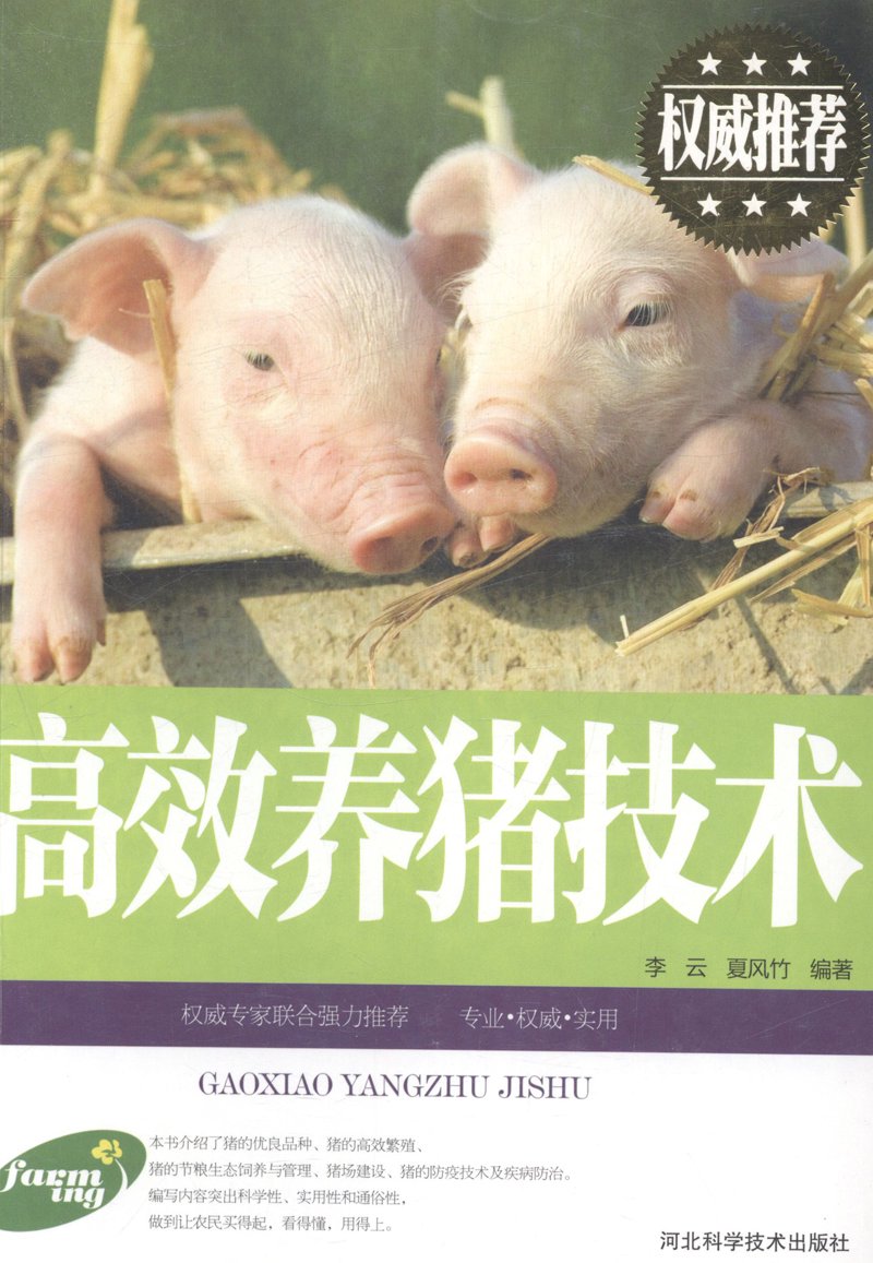 企业信息化：推动数字化转型的引擎